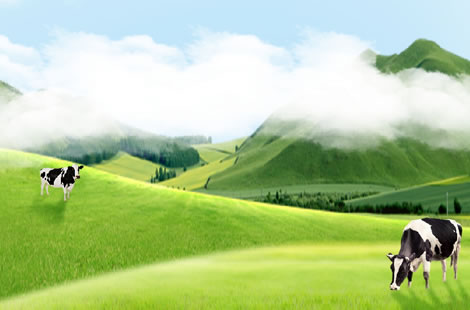 伊康初乳系列產(chǎn)品有什么特色？